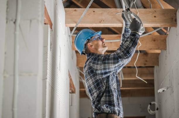 Best Home Electrical Repair  in Hawkinsville, GA