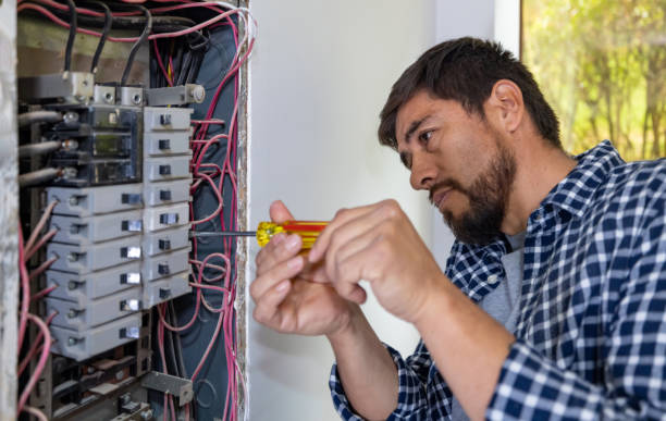 Best Electrical System Inspection  in Hawkinsville, GA